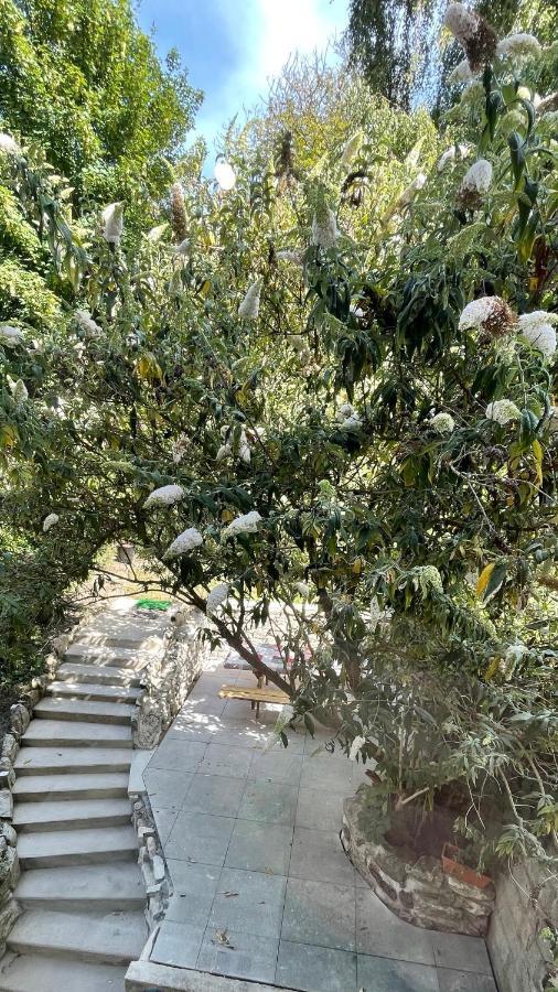 Apartmán Au Jardin De La Basilique Boulogne-sur-Mer Exteriér fotografie
