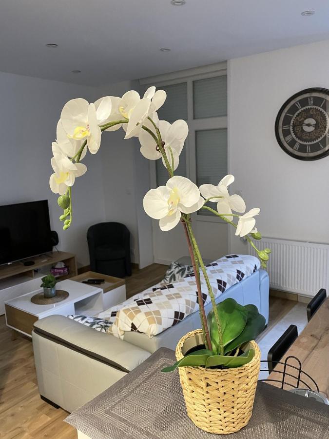 Apartmán Au Jardin De La Basilique Boulogne-sur-Mer Exteriér fotografie